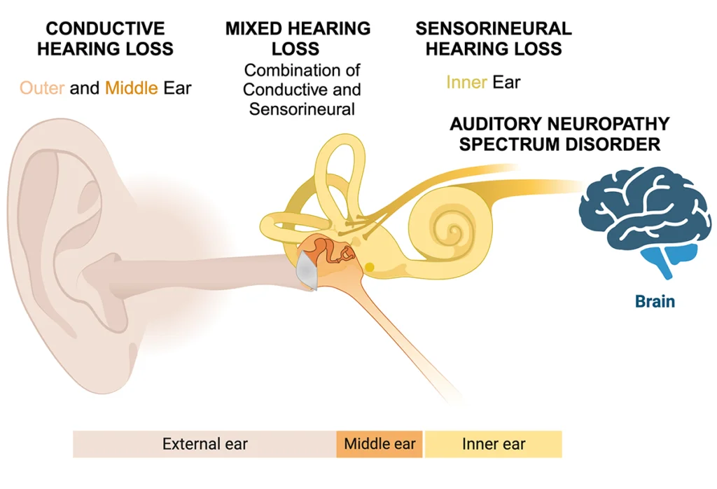 Signs of hearing loss